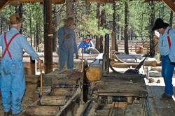 High-Desert-Museum4451.jpg