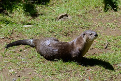 _DSC8586.jpg