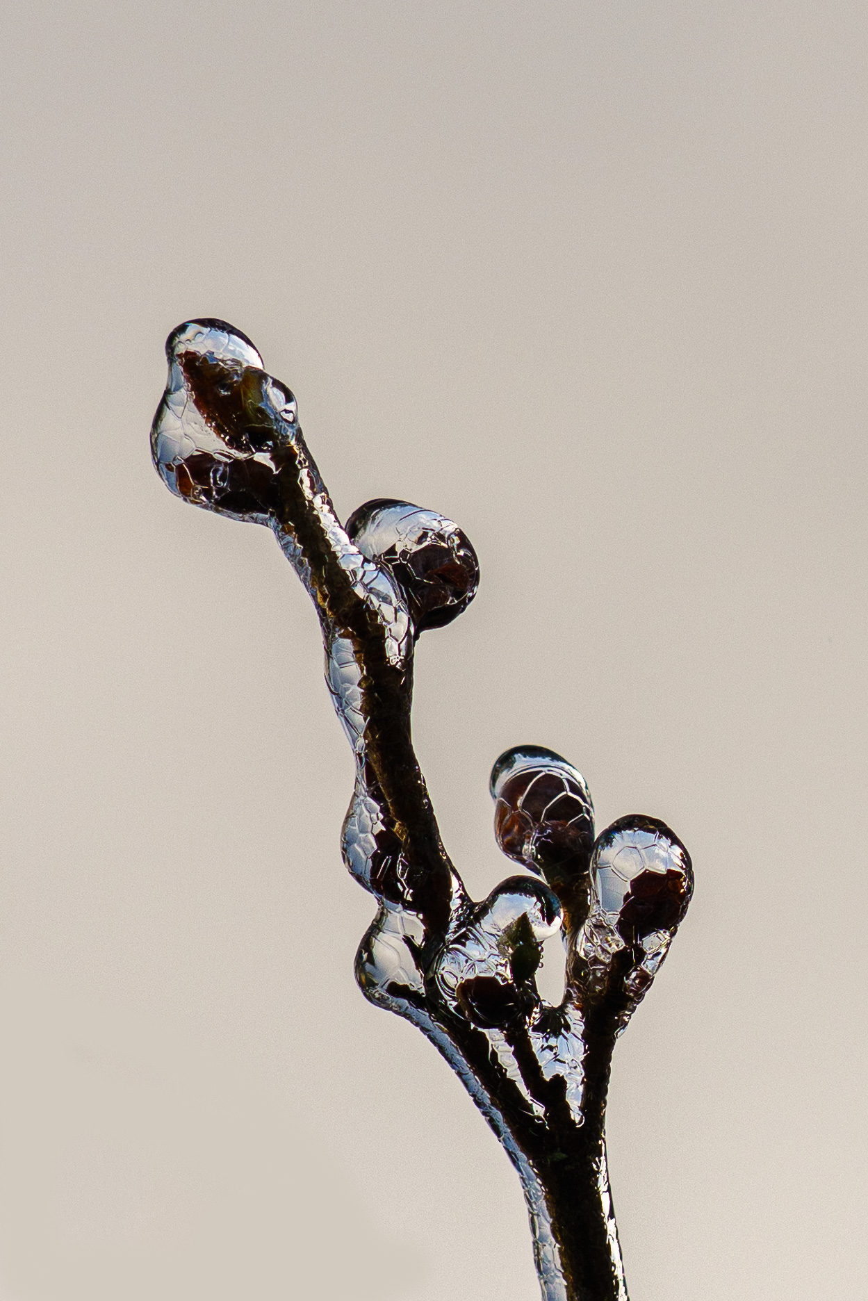 _DSC0170-Edit.jpg
